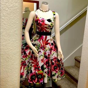 NWTS! Beautiful H&R Retro Fit n Flare Dress